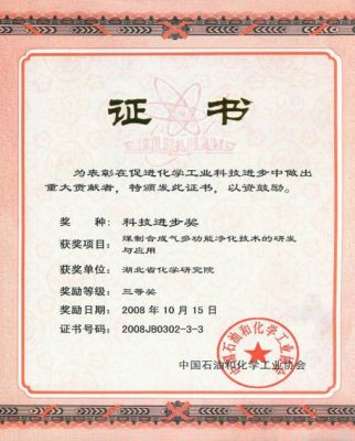 省部级2008科技进步三等奖